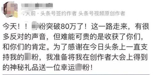粉少的头条号,揭秘网红背后的辛酸与成长