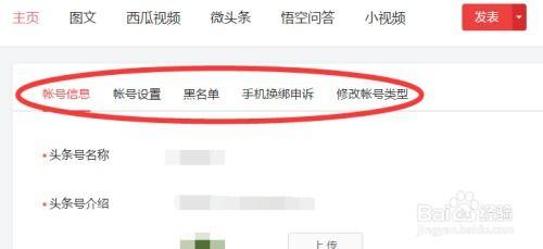 自己的头条账号是多少,探索我的自媒体之路”