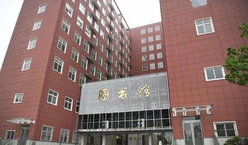 头条情感学院怎么开直播,轻松开启你的情感直播之旅