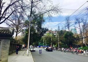 天涯镇网红街道图片,漫步时光，邂逅诗意画卷