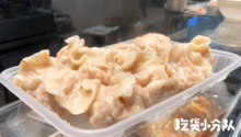 网红饺儿,美食界的璀璨新星，带你领略传统美食的魅力