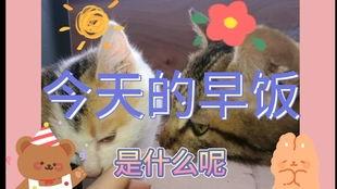 靠意念吃瓜,揭秘如何仅凭意念吃瓜的神奇体验