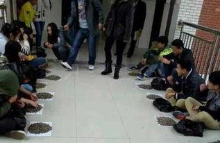 秦皇岛卫校吃瓜事件,校园风波背后的真相与反思