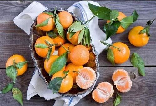 子安橘木吃瓜,一场别开生面的吃瓜盛宴