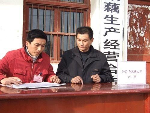 腾桥罗针新闻头条,揭秘罗针镇发展新篇章