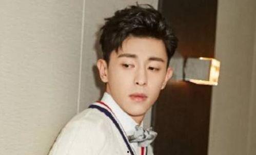 零整容男明星,自然之美，魅力永恒