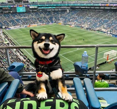 头条封面可以gif吗,头条封面GIF背后的故事与魅力