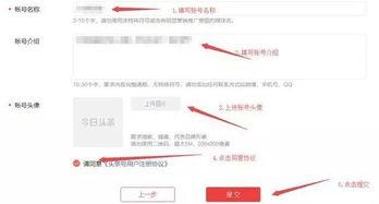 怎么发个人头条,轻松打造个人品牌影响力