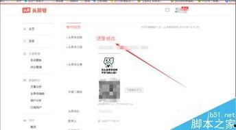 头条里的名字怎么起,探寻名字背后的故事与奥秘