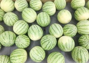 安静的夜里吃瓜,静谧时光里的闲适小趣