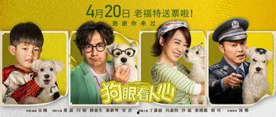 头条上的爱宠合照,爱意满满！头条网友晒出温馨爱宠合照