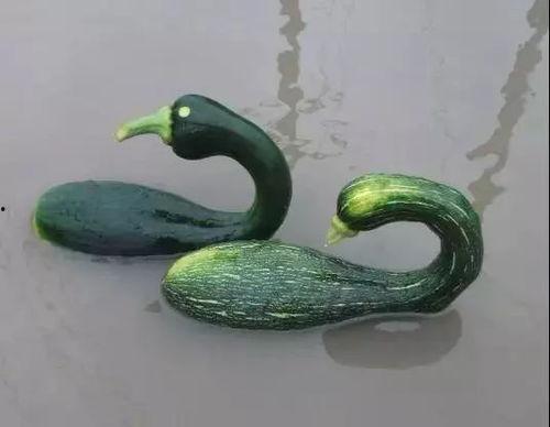 阿澈吃瓜不吐皮,揭秘娱乐圈幕后真相