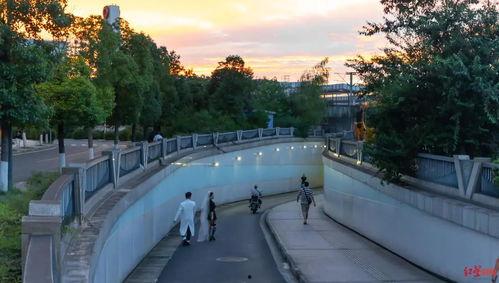 驻马店网红隧道照片高清,光影交织的梦幻通道掠影