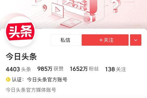 头条号最新粉丝排名前十