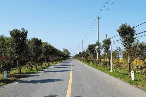 威海农村道路新闻头条,助力乡村振兴发展