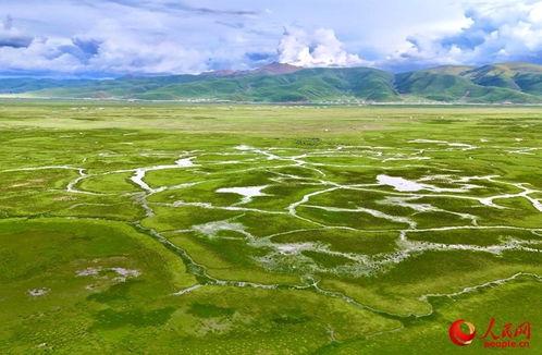 西藏网红牧场,诗意栖息的云端牧歌