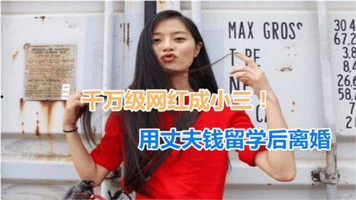 借了钱的网红是谁,网红借款背后的真相