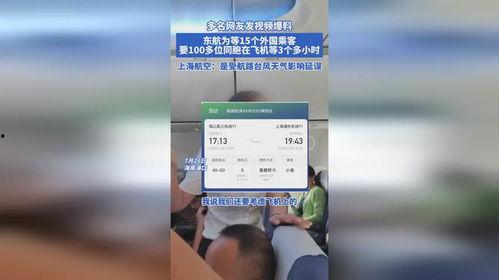 国外爆料东航事件视频播放,国外视角下的惊心动魄瞬间