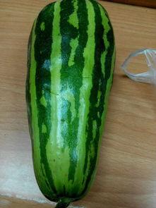 麻瓜吃瓜还有什么瓜,揭秘各种“瓜”背后的故事