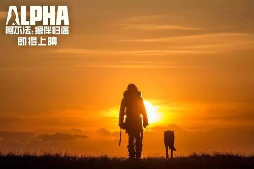 光遇归途吃瓜,揭秘吃瓜背后的故事与真相