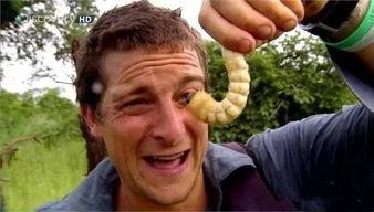 吃瓜总群1718617,一场全民参与的趣味盛宴