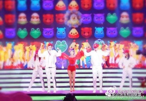 2019春晚明星投票,2019年度人气之星揭晓