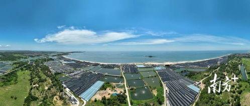 广东揭阳市惠来县明星,璀璨星河中的璀璨明珠